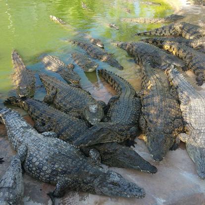 A Découvrir en Tunisie - Djerba