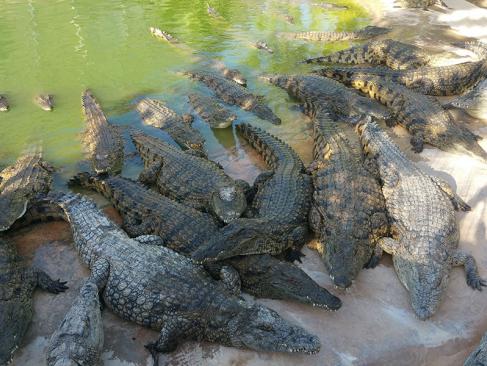 A Découvrir en Tunisie - Djerba