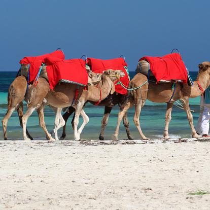 A Découvrir en Tunisie - Djerba