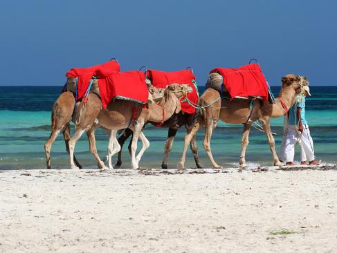 A Découvrir en Tunisie - Djerba