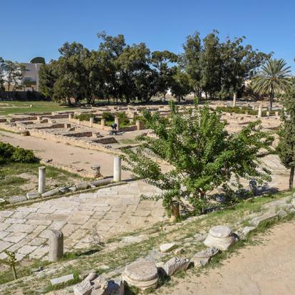El Jem - Site Archéologique Romain A Découvrir en Tunisie - El Jem