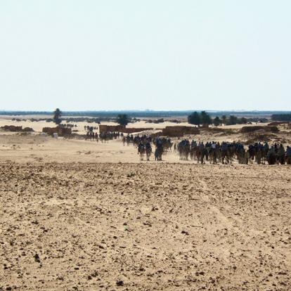 A Découvrir en Tunisie - Gabès
