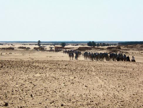 A Découvrir en Tunisie - Gabès