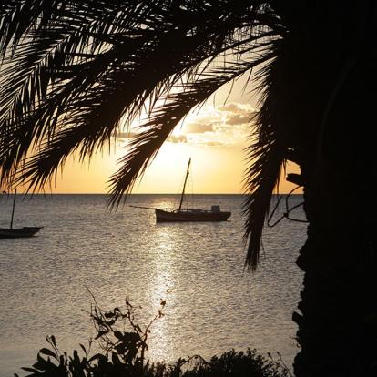 A Découvrir en Tunisie - Les Iles Kerkennah
