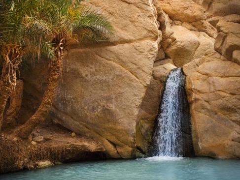 Oasis De Chekiba A Découvrir en Tunisie - Tozeur