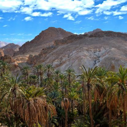 Oasis Of Nefta, Chebika A Découvrir en Tunisie - Tozeur