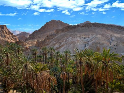 Oasis Of Nefta, Chebika A Découvrir en Tunisie - Tozeur
