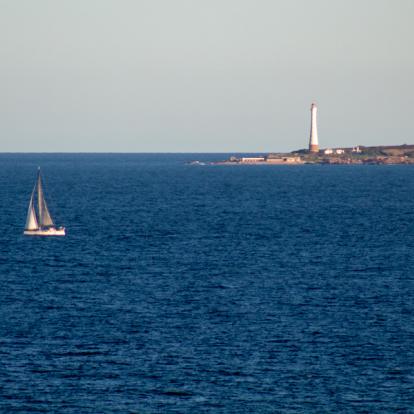 Isla De Los Lobos A Découvrir en Uruguay - Isla de los lobos