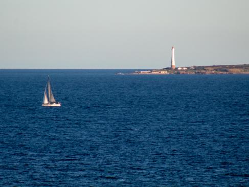 Isla De Los Lobos A Découvrir en Uruguay - Isla de los lobos