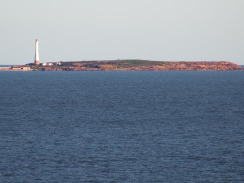 Isla De Los Lobos A Découvrir en Uruguay - Isla de los lobos