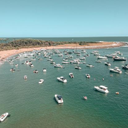 Isla Gorriti A Découvrir en Uruguay - Punta del Este