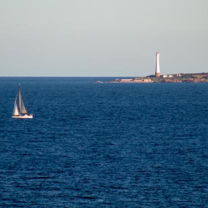Lobos A Découvrir en Uruguay - Punta del Este