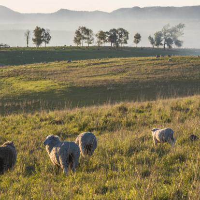 Acuarembo - Batovi Hill A Découvrir en Uruguay - Tacuarembo