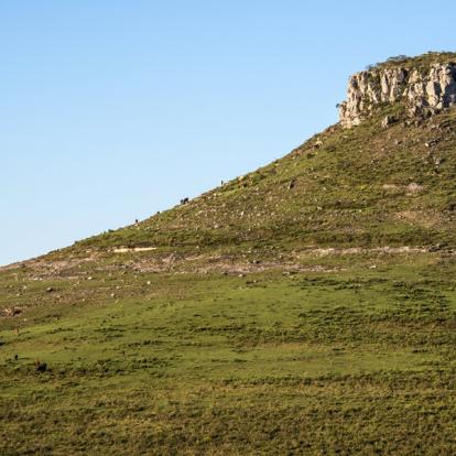 Cerro Batoví A Découvrir en Uruguay - Tacuarembo