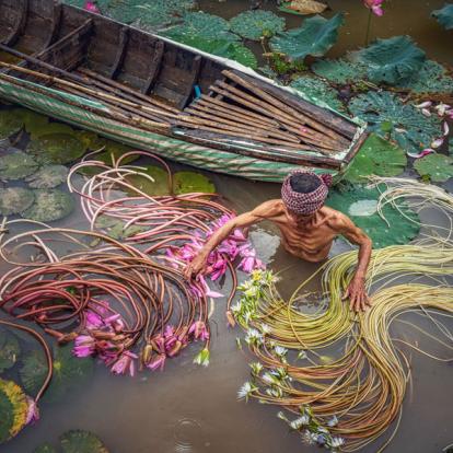 Delta Du Mekong - An Giang A Découvrir au Vietnam -  Le Delta du Mékong