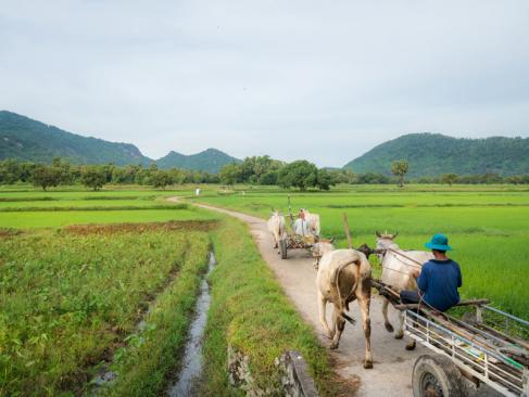 Delta Du Mékong - Chau Doc A Découvrir au Vietnam -  Le Delta du Mékong