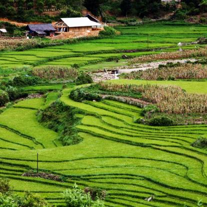Ma Tra A Découvrir au Vietnam - Sapa