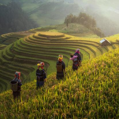Mu cang chai A Découvrir au Vietnam - Sapa