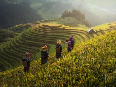 Mu Cang Chai A Découvrir au Vietnam - Sapa