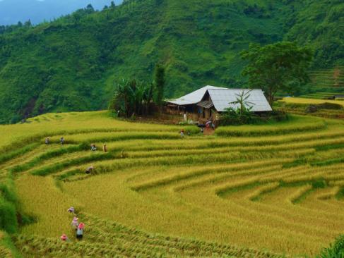 Vallée De Muong Hoa A Découvrir au Vietnam - Sapa