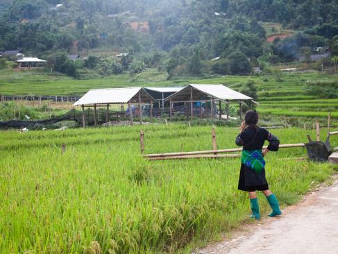 Ta Phin A Découvrir au Vietnam - Sapa