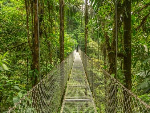 Incontournable au Costa Rica - Parc National d'Arenal