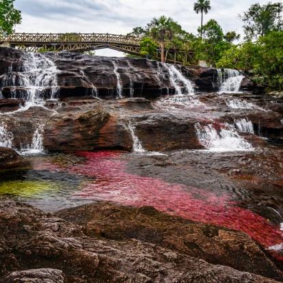 A découvrir en Colombie - Caño Cristales