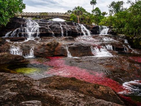 A découvrir en Colombie - Caño Cristales