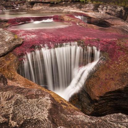 A découvrir en Colombie - Caño Cristales