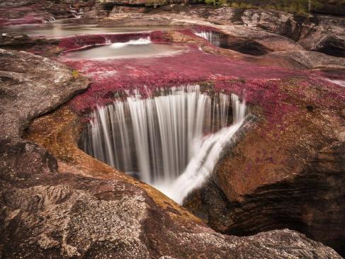 A découvrir en Colombie - Caño Cristales