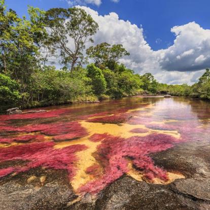 A découvrir en Colombie - Caño Cristales