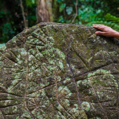 A Découvrir en Colombie - La Cité Perdue