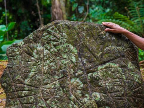 A Découvrir en Colombie - La Cité Perdue