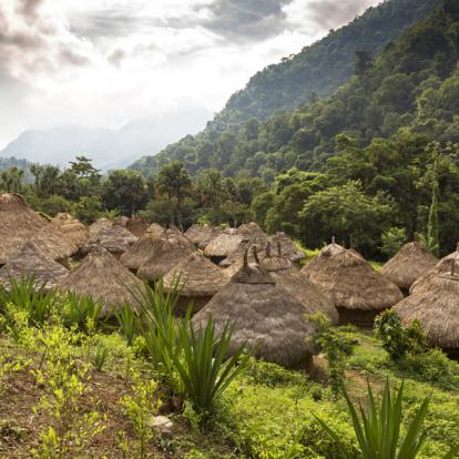 A Découvrir en Colombie - La Cité Perdue