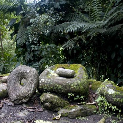 A Découvrir en Colombie - La Cité Perdue