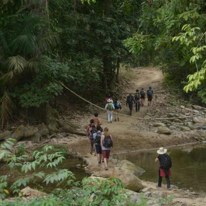 A Découvrir en Colombie - La Cité Perdue