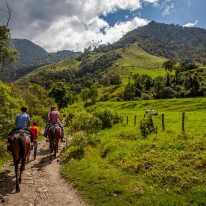 A Découvrir en Colombie - Le triangle du café