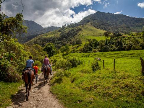 Vallée De Cocora A Découvrir en Colombie - Le triangle du café