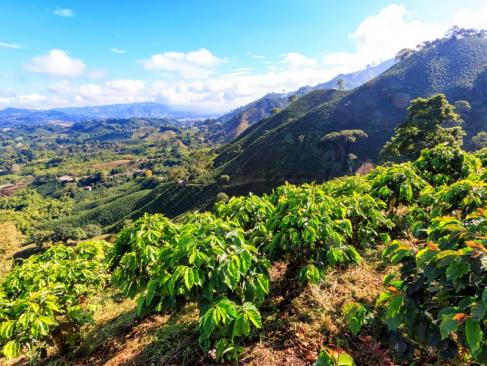 Manizales A Découvrir en Colombie - Le triangle du café