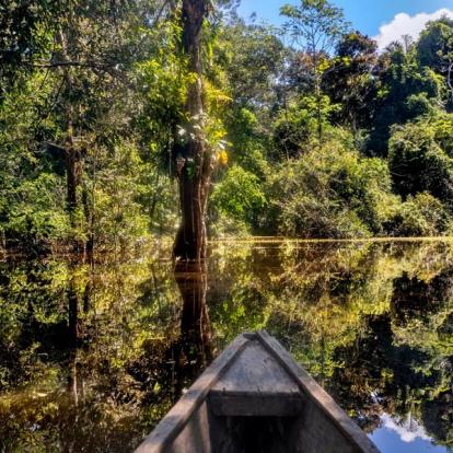 A Découvrir en Colombie - Leticia et l'Amazonie Colombienne
