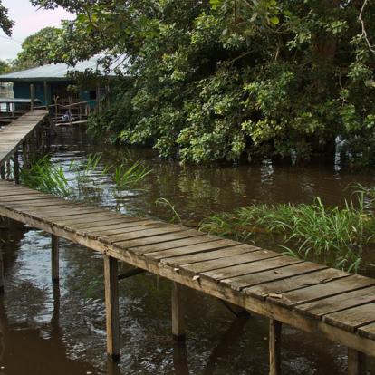 A Découvrir en Colombie - Leticia et l'Amazonie Colombienne