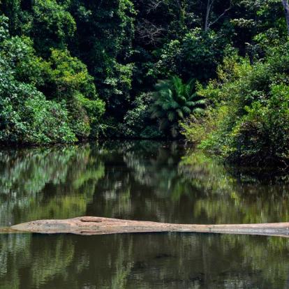 A Découvrir en Colombie - Nuqui