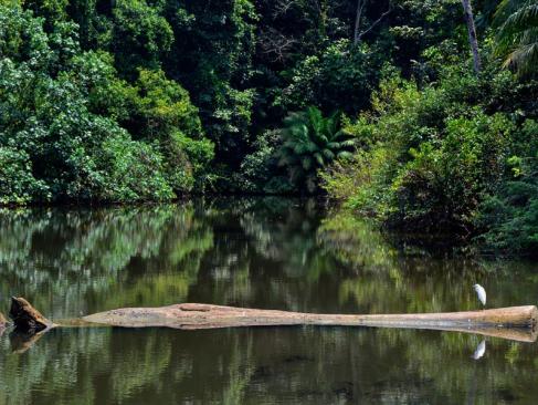 A Découvrir en Colombie - Nuqui