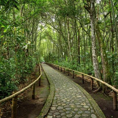 A Découvrir en Colombie - San Agustín