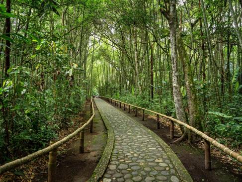 A Découvrir en Colombie - San Agustín