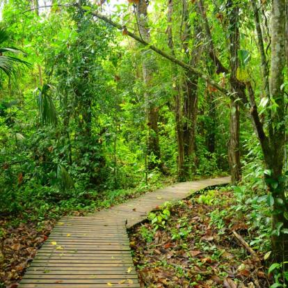 Le Parc National De Tayrona A Découvrir en Colombie - Le Parc National de Tayrona