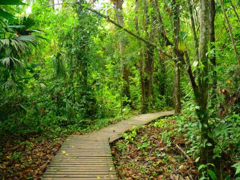 Le Parc National De Tayrona A Découvrir en Colombie - Le Parc National de Tayrona