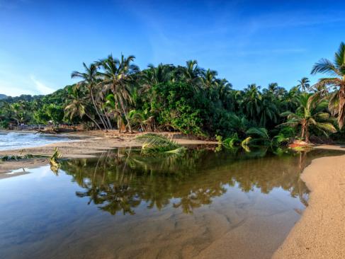 Le Parc National De Tayrona A Découvrir en Colombie - Le Parc National de Tayrona