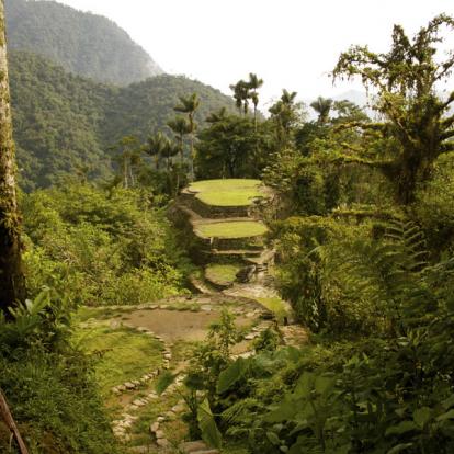 Ciudad Perdida A Découvrir en Colombie - Le Parc National de Tayrona