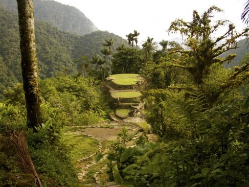 Ciudad Perdida A Découvrir en Colombie - Le Parc National de Tayrona